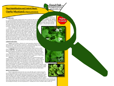 Weed Identification Sheets